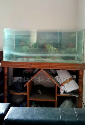 Fish Aqarium