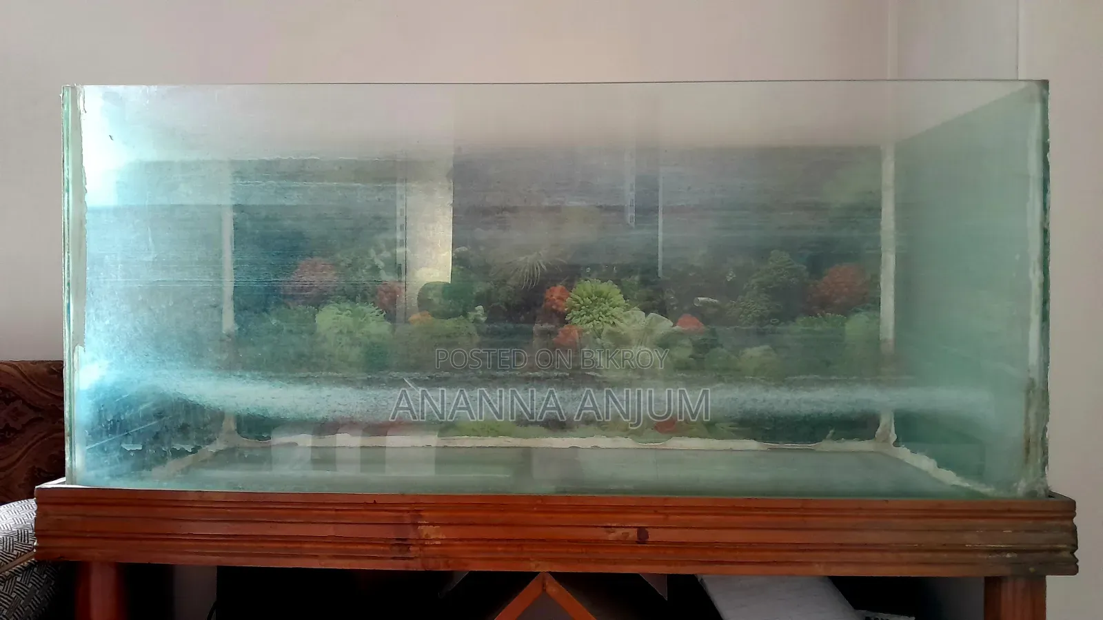 Fish Aqarium