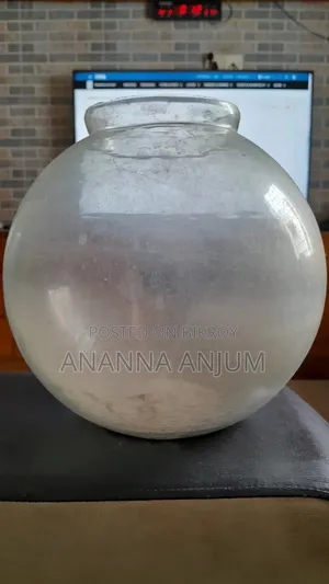 Fish Bowl Aquarium