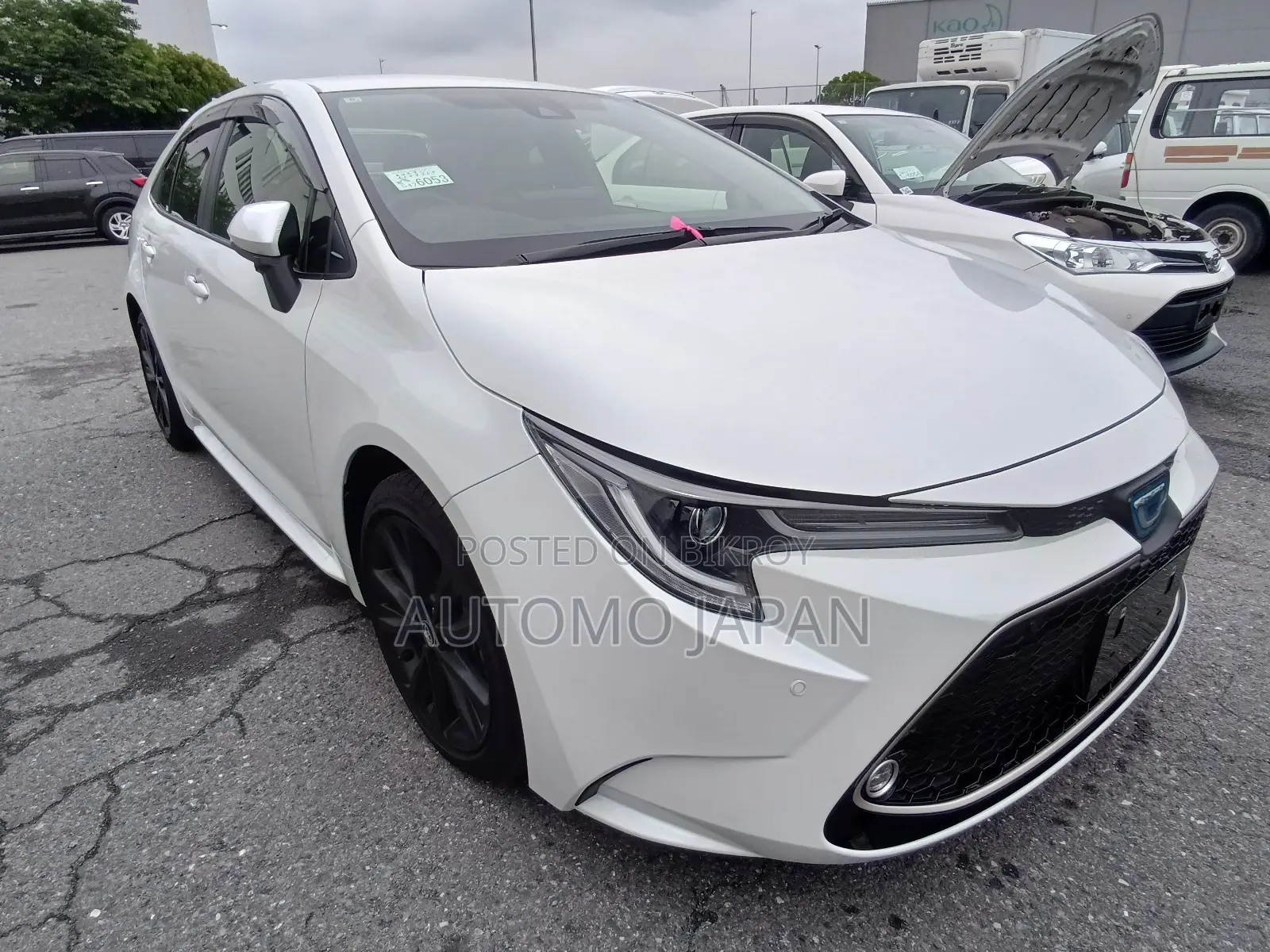 Toyota Corolla 2021 Pearl