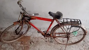 Bicycle for sale, need money