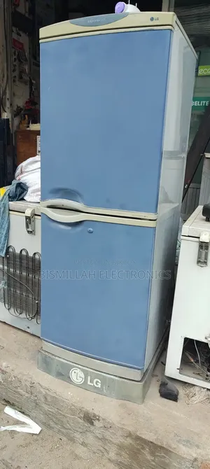 Lg 12 Cft Refrigerator