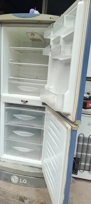 Lg 12 Cft Refrigerator