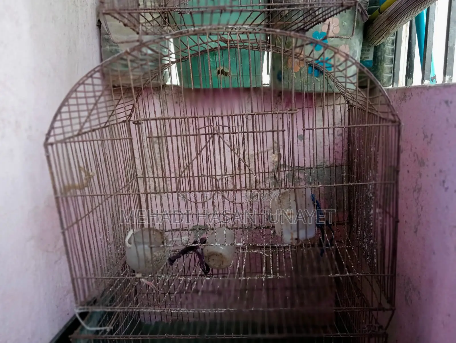 Bird Cage