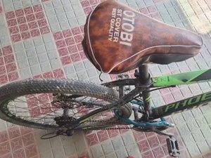 Phoenix Cycle