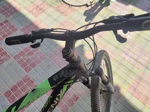 Phoenix Cycle