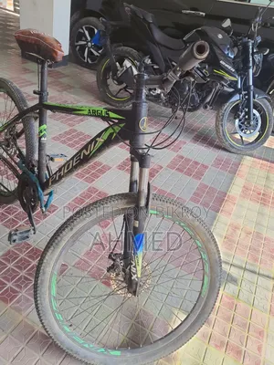 Phoenix Cycle