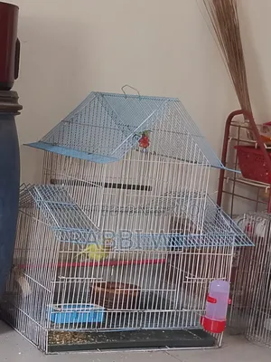 Bird Cage, A Briding Box,1pair Love Bird, And 7 Eggs Sell
