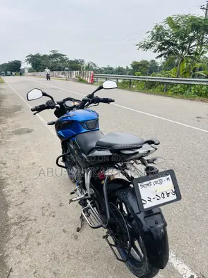 Bajaj Pulsar NS 160 2019 Blue