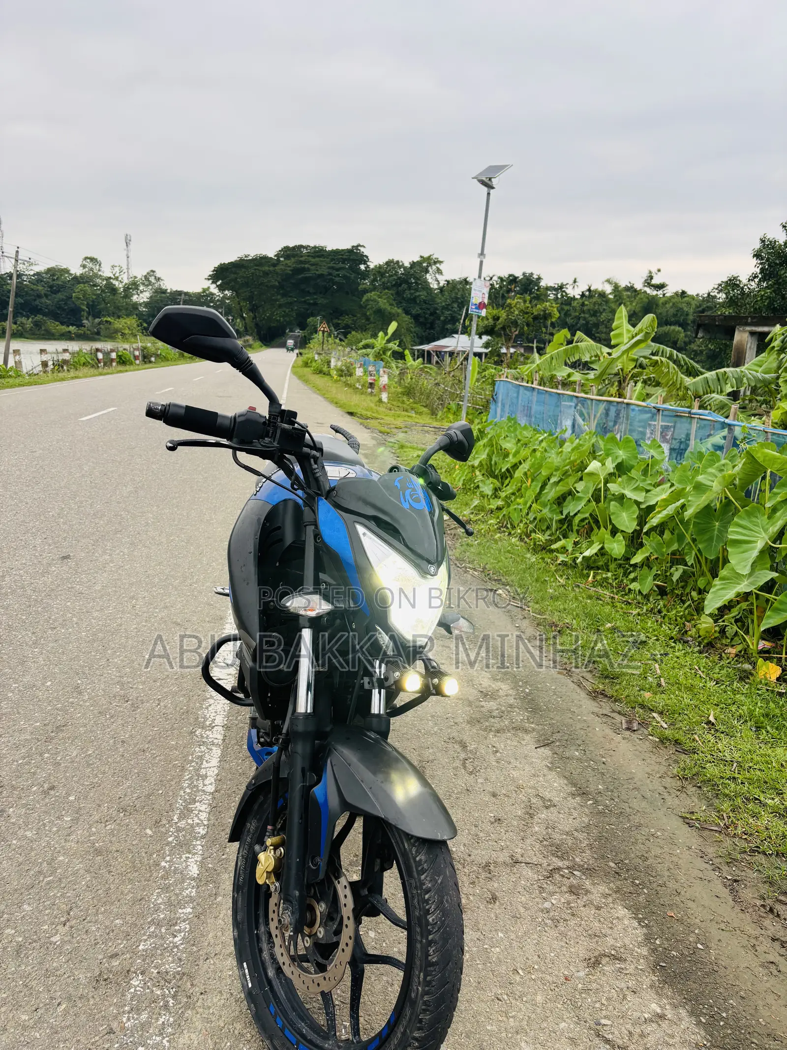 Bajaj Pulsar NS 160 2019 Blue