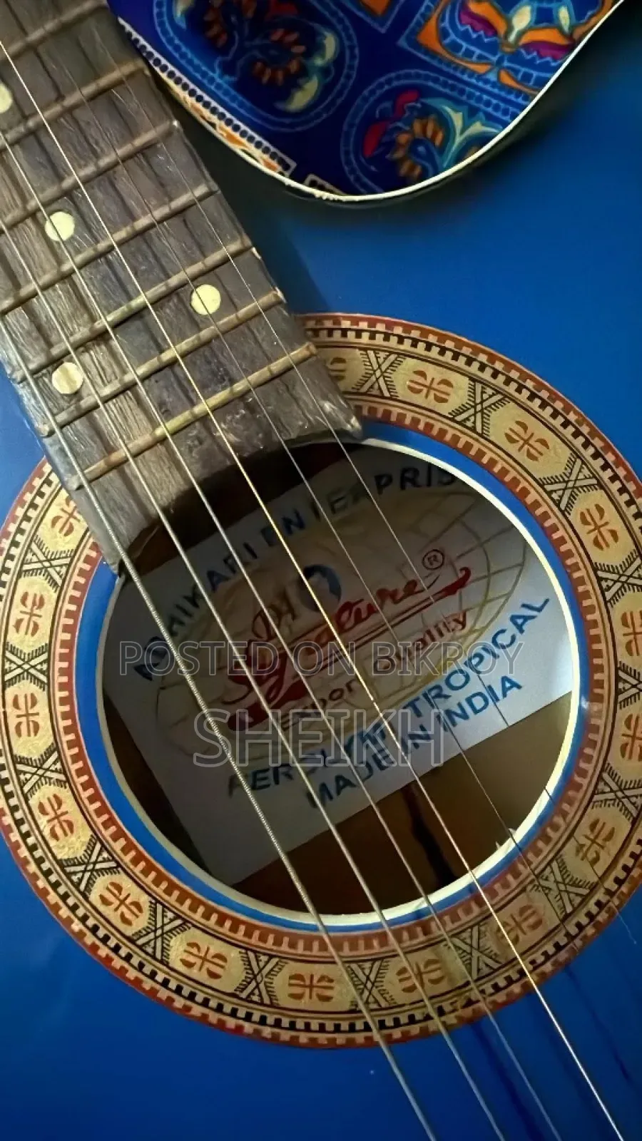 Acoustic Guitar