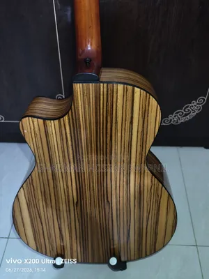 Axe Premier Z170 -pure Acoustic Guitar
