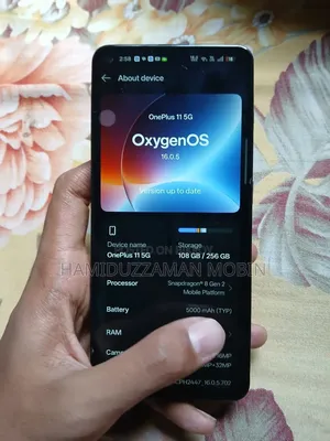 OnePlus 11 256 GB Black