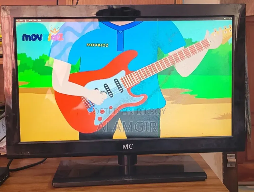 Television