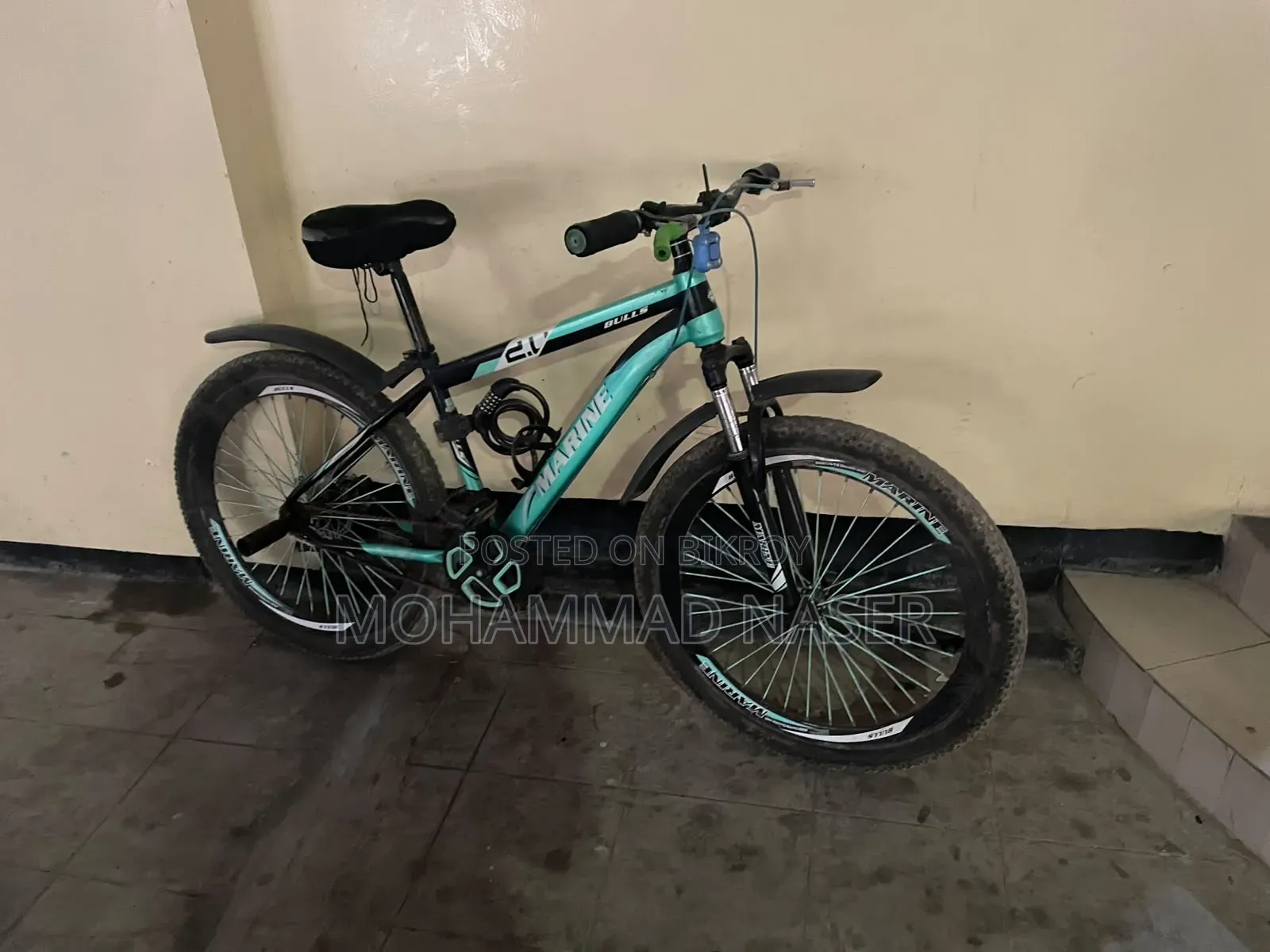 Marine Gold Bicycle