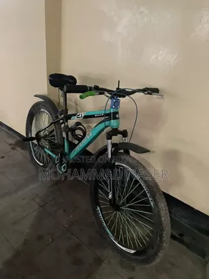 Marine Gold Bicycle