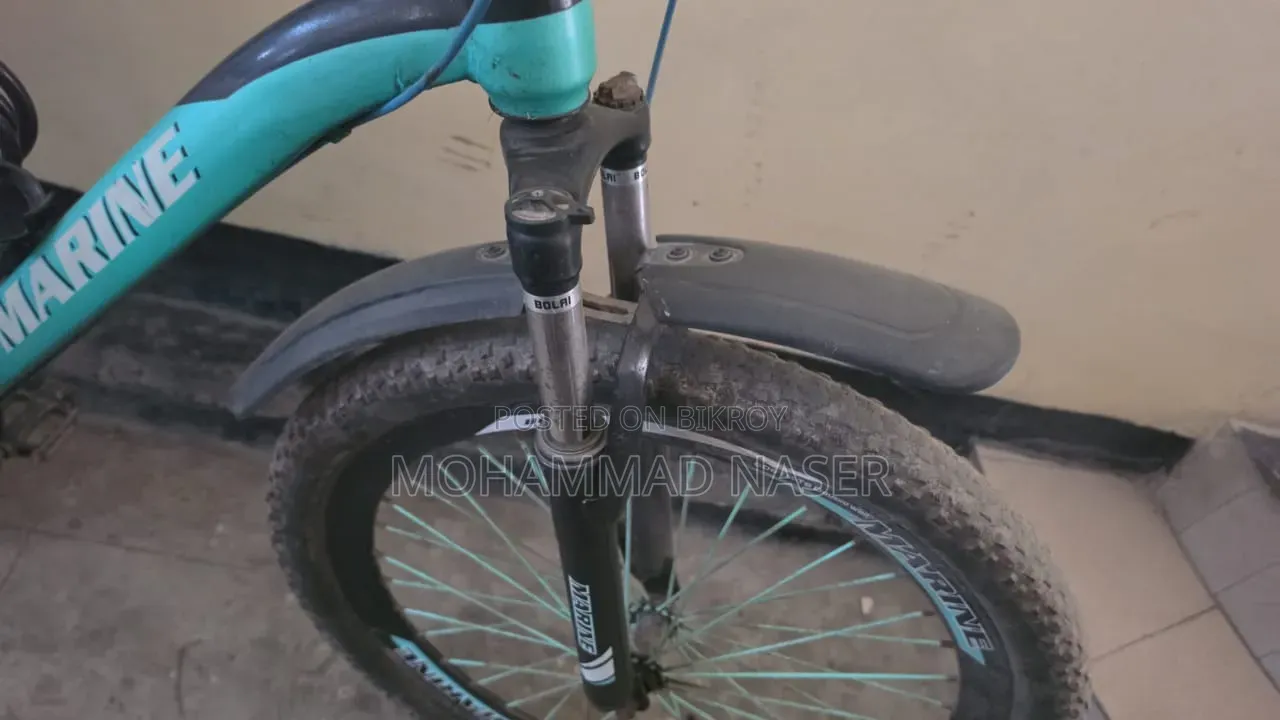 Marine Gold Bicycle