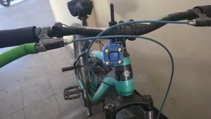Marine Gold Bicycle