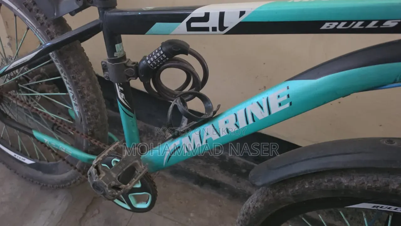 Marine Gold Bicycle