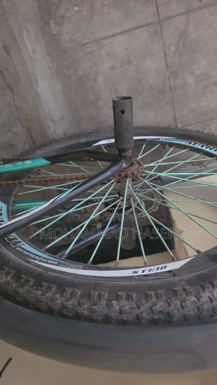 Marine Gold Bicycle