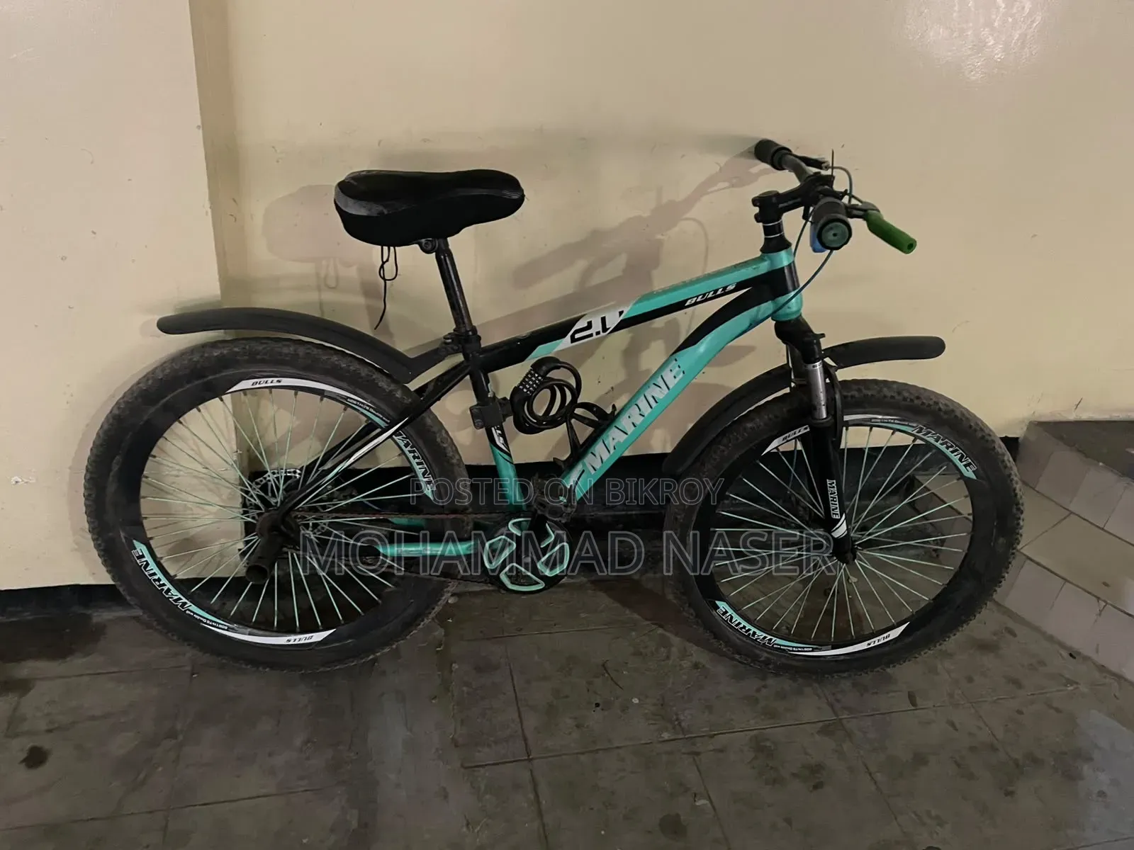 Marine Gold Bicycle