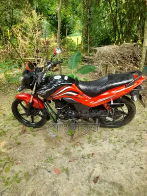 Hero Passion Pro 2019 Red