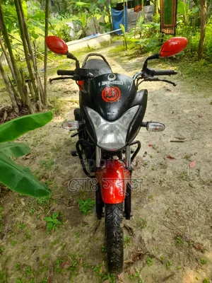 Hero Passion Pro 2019 Red