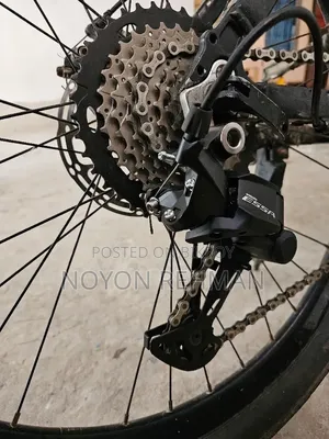 Custom Made Used Cycle