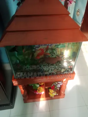 Aquarium