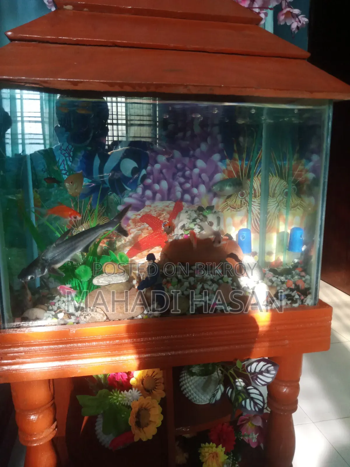 Aquarium
