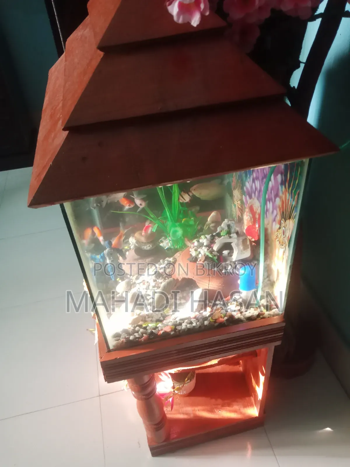 Aquarium