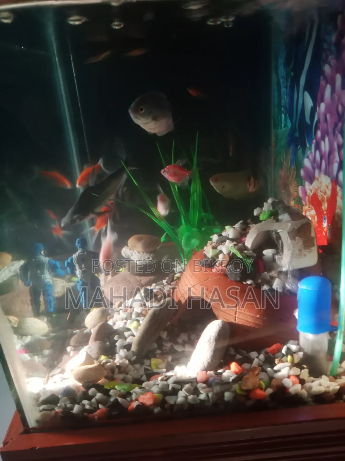 Aquarium