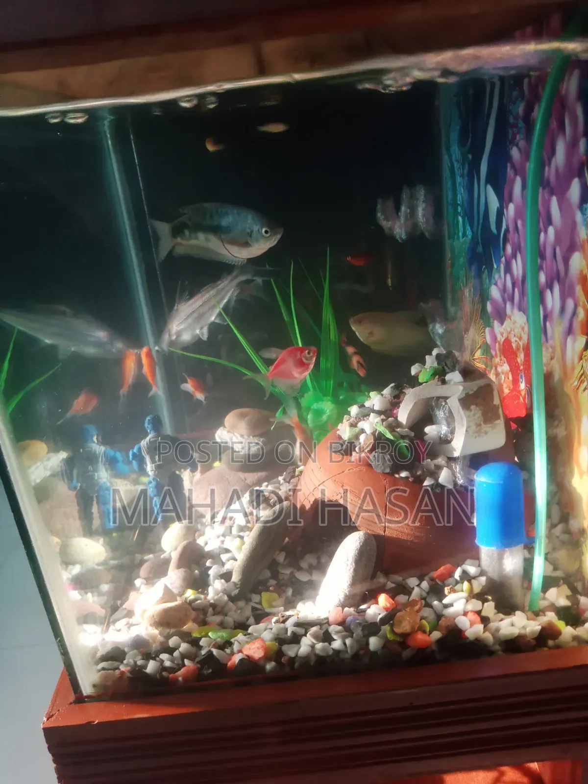 Aquarium