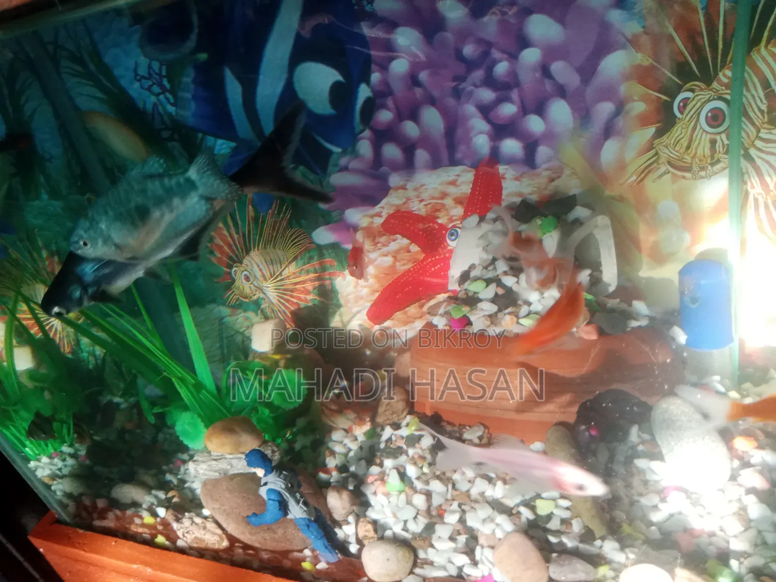 Aquarium