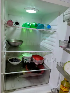 Singer Fridge