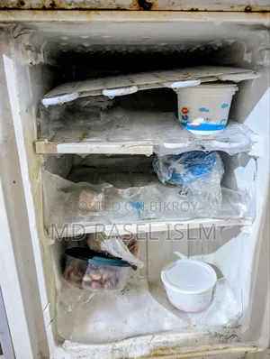 Singer Fridge