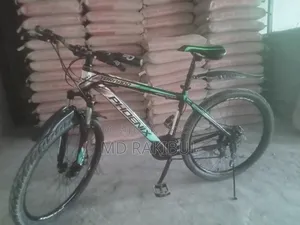 High-quality Phoenix bicycle with rear and front gears