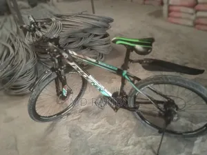 High-quality Phoenix bicycle with rear and front gears