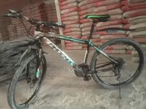 High-quality Phoenix bicycle with rear and front gears