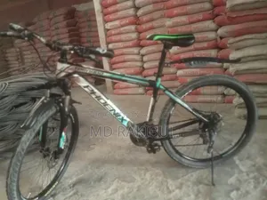 High-quality Phoenix bicycle with rear and front gears