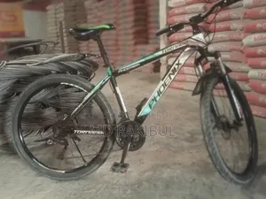High-quality Phoenix bicycle with rear and front gears