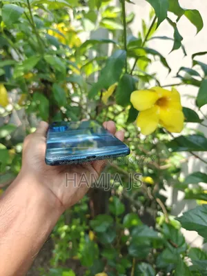 New Vivo V60 256 GB Blue