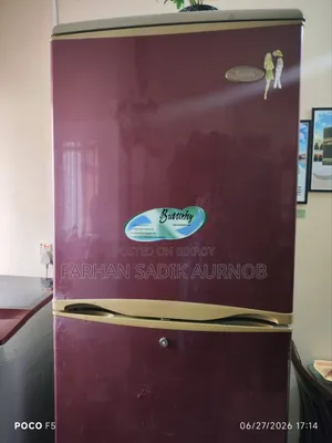 LG Butterfly Fridge