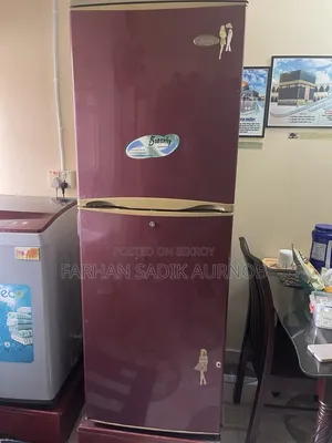 LG Butterfly Fridge
