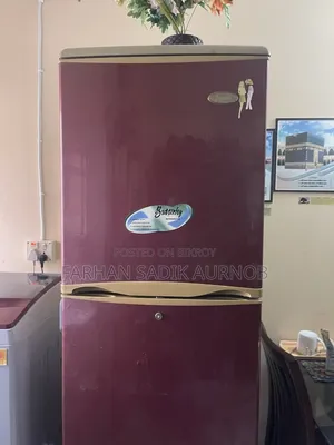 LG Butterfly Fridge