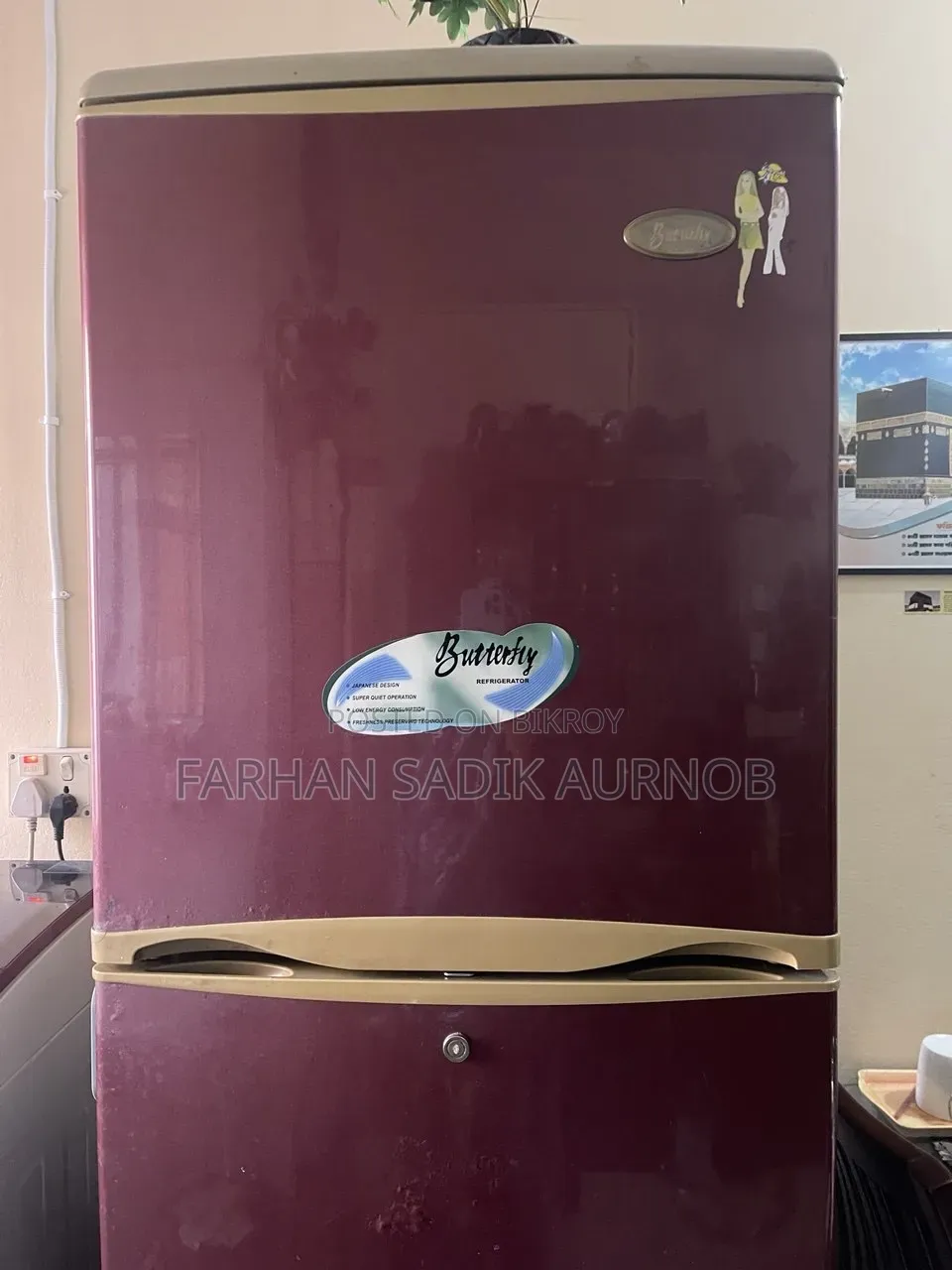 LG Butterfly Fridge