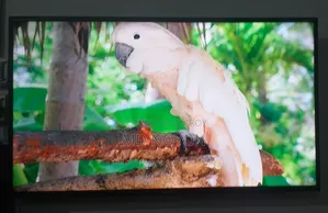 40" Walton Android Fhd Hdr Tv