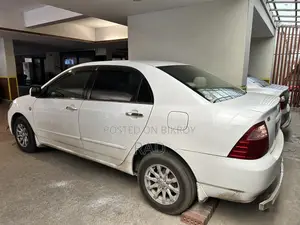 Toyota Corolla 2004 White