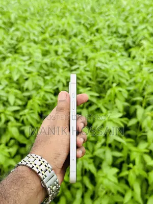 অ্যাপল আইফোন ১৩ ১২৮ জিবি সাদা