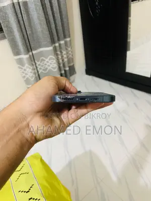 Apple iPhone 12 Pro Max 256 GB Gray